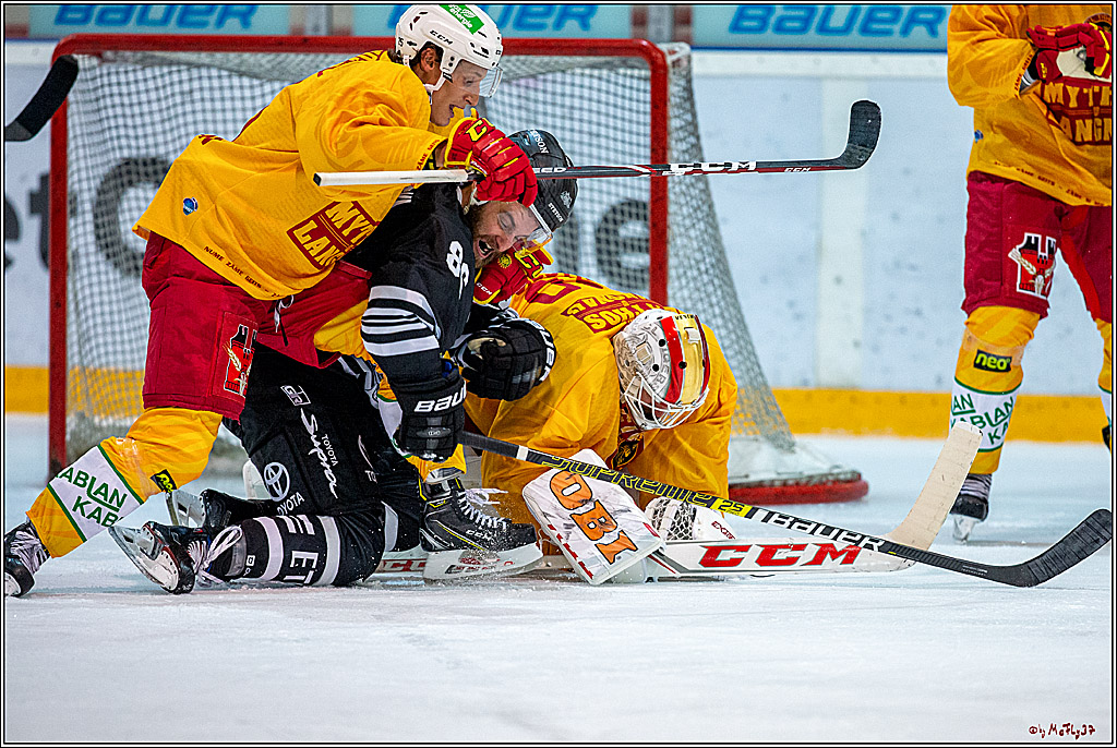 Koeln Cup 2019, Koelner Haie - SCL-Tigers Langnau 3-2, 15.08.2019